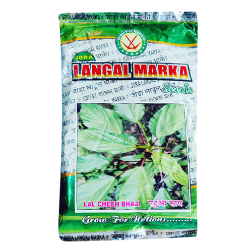 Lal Chech Bhaji Seeds - Cultivation Type: Common