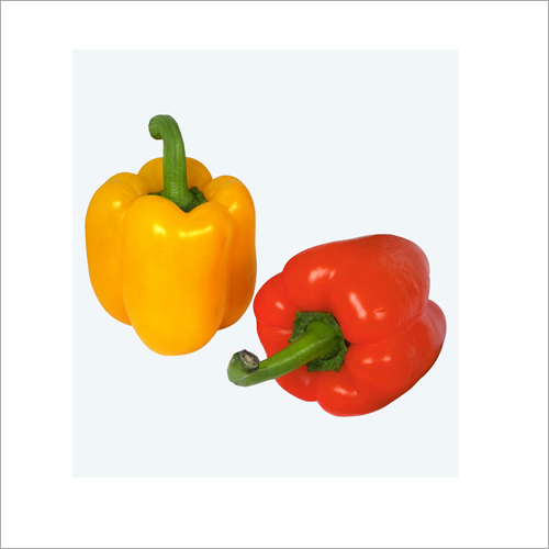 Fresh Bell Peppers Shelf Life: 6 Days