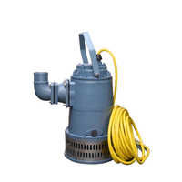 Stainless Steel Semi-automatic Dewatering Submersible Pumps