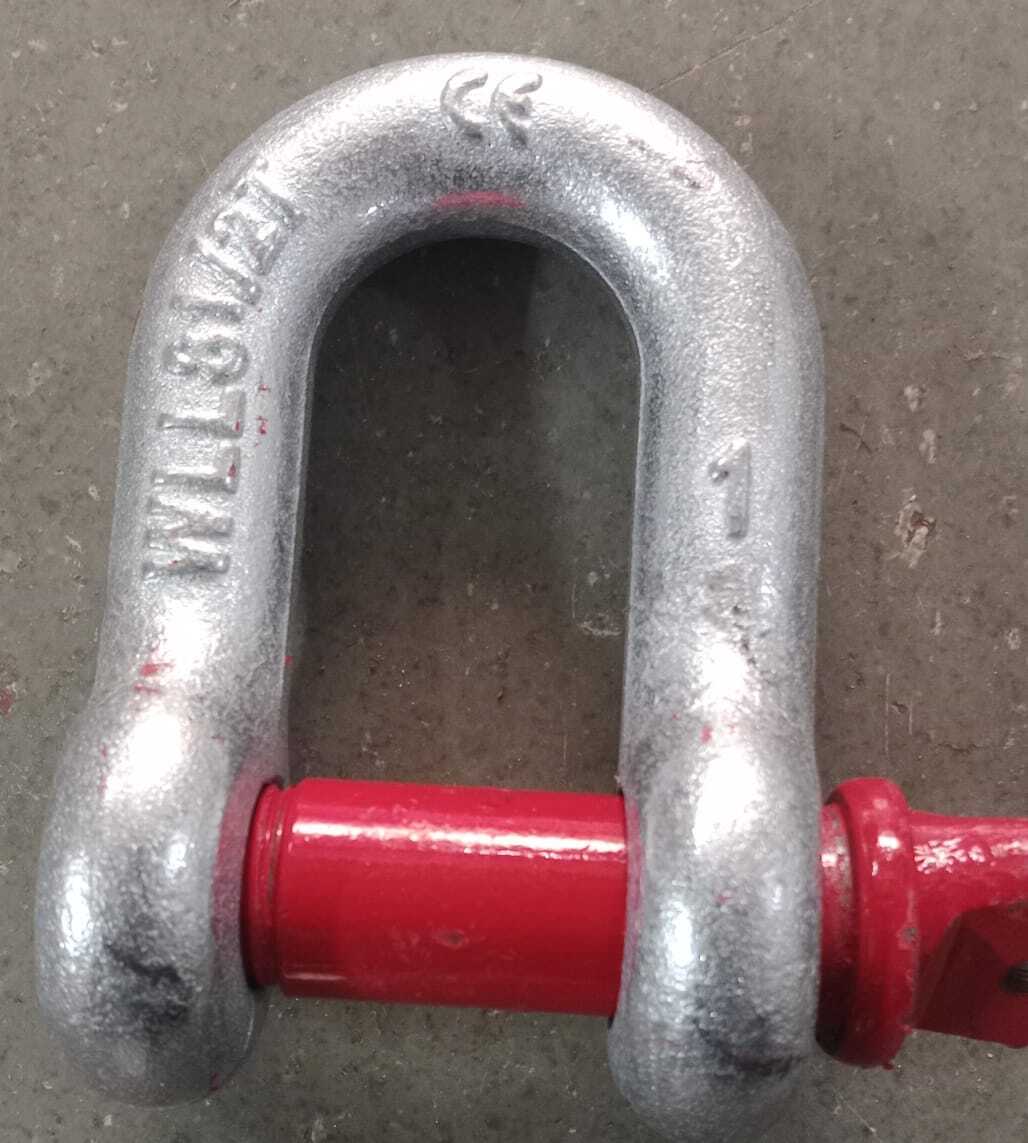 Strong D Shackle