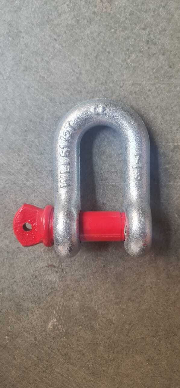 Strong D Shackle