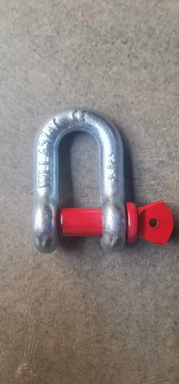 Strong D Shackle