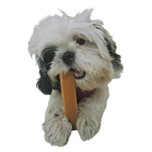 Himalayan Yak Chews - 100% Natural Cheese, Yellow Color - High Nutrition, Excellent Dental Health, Reduces Tartar and Plaque