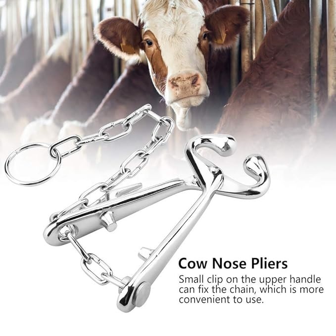Bull Holder Veterinary Instruments Dimension(l*w*h): 7 Inch (In)