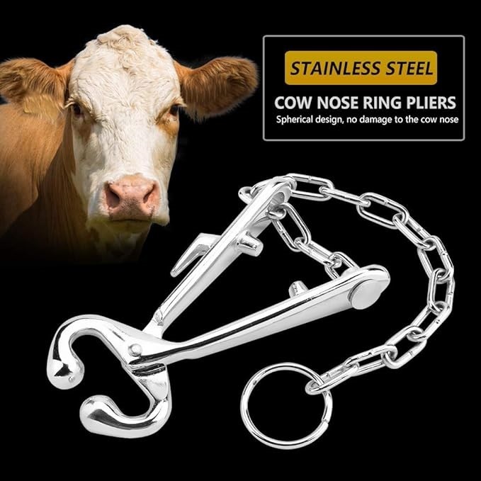Bull Holder Veterinary Instruments Dimension(l*w*h): 7 Inch (In)