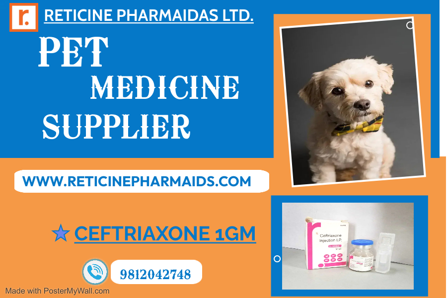 Veterinary Injection Franchise - Liquid Injections, Dry Powder Injections, Feed Supplements | Franchise, Injectable, Pcd, Veterinary
