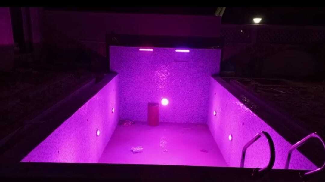 Custom Outdoor Swimming Pool
