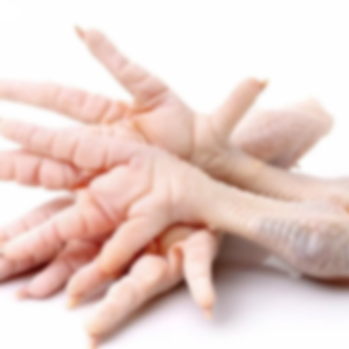 Chicken Feets - Original Flavor, Natural Taste and Shape | High Quality Food for Export Worldwide