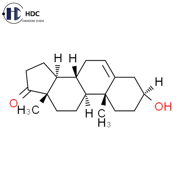 Dehydroepiandrosterone Dhea