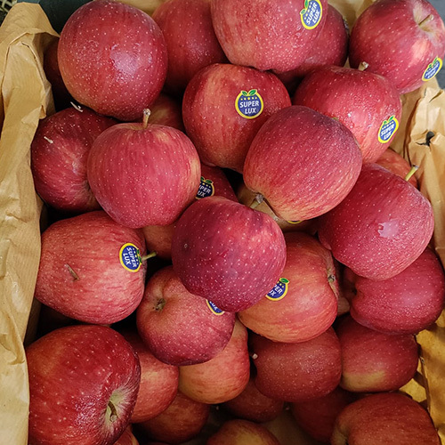 Fresh Apple - Cultivation Type: Organic