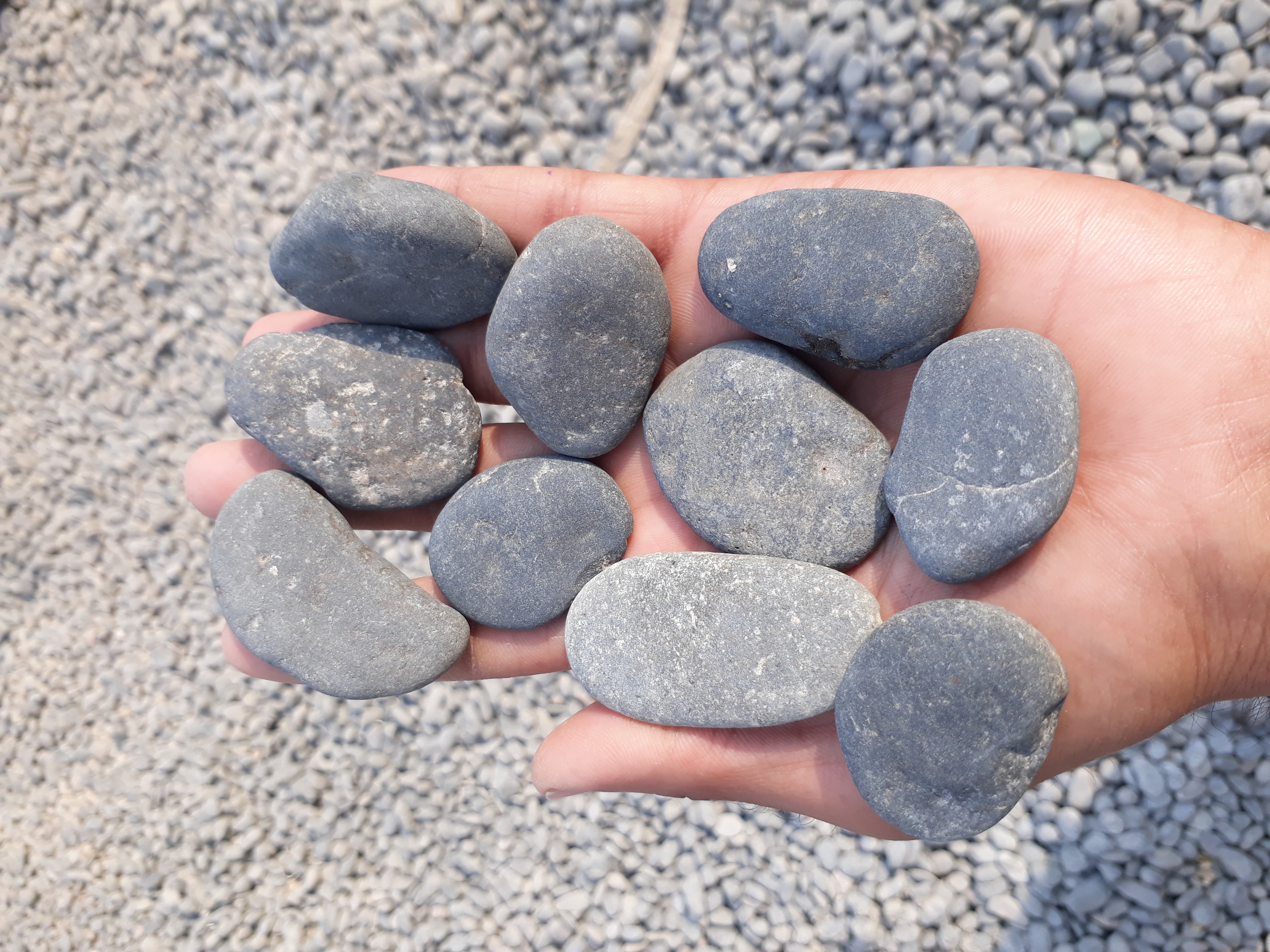 Natural Round Flat Stepping Pebbles Stone Loose Jumbo Bag Bulk Supplier