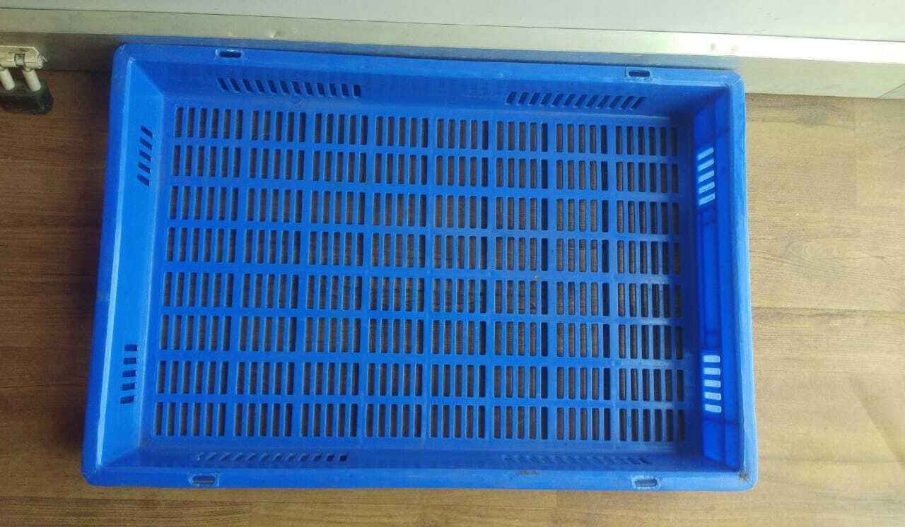 Mesh Sp Plastic Crate