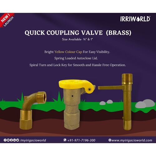 Quick Coupling Valve (Brass)