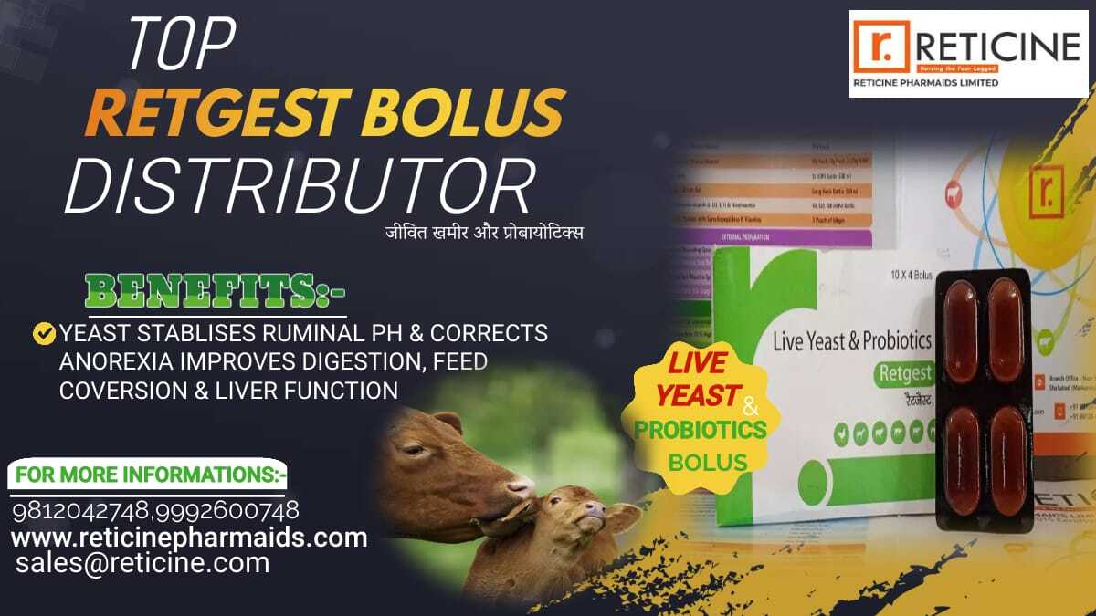 Veterinary Bolus Manufacturer In Haryana