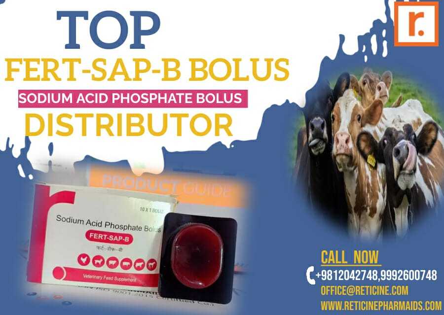 Veterinary Bolus Manufacturer In Haryana