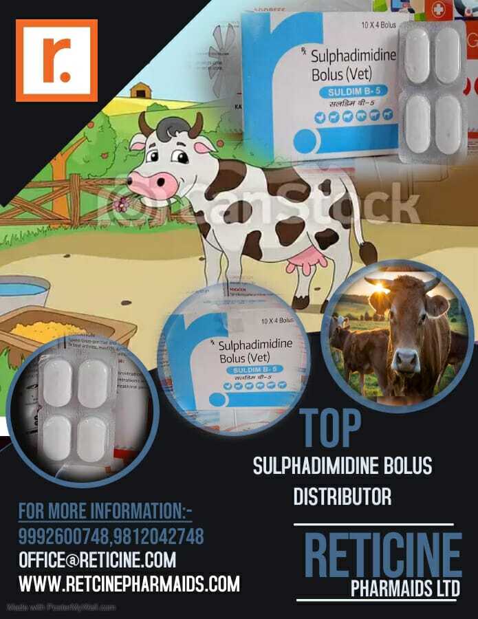 Veterinary Bolus Manufacturer In Haryana