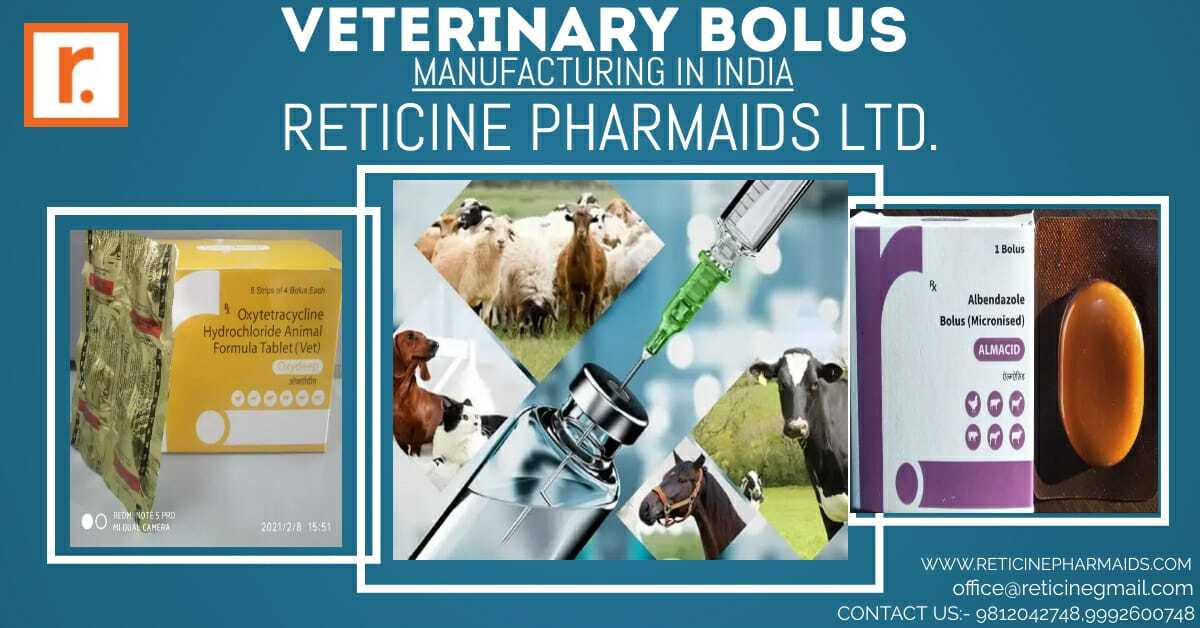 Veterinary Bolus Manufacturer In Haryana