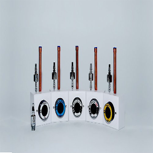 बीएस स्टैंडर्ड