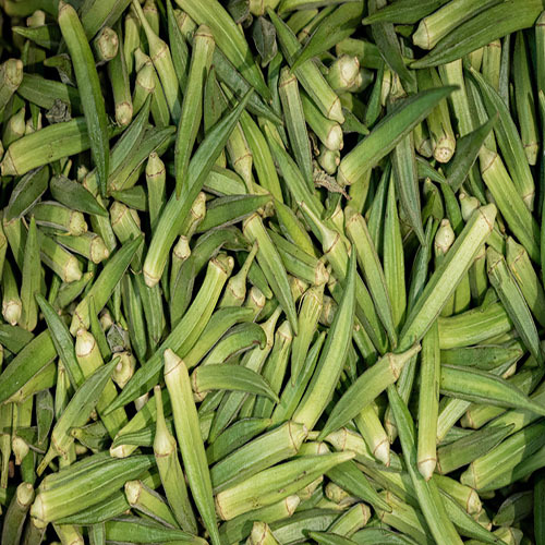 Fresh Okra