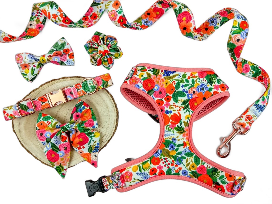 Red Soft Padding Printed Dog Harness