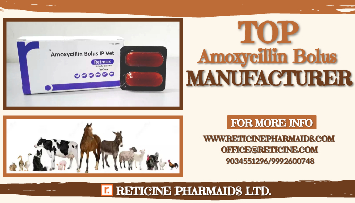Veterinary Bolus Manufacturer In Chandigarh