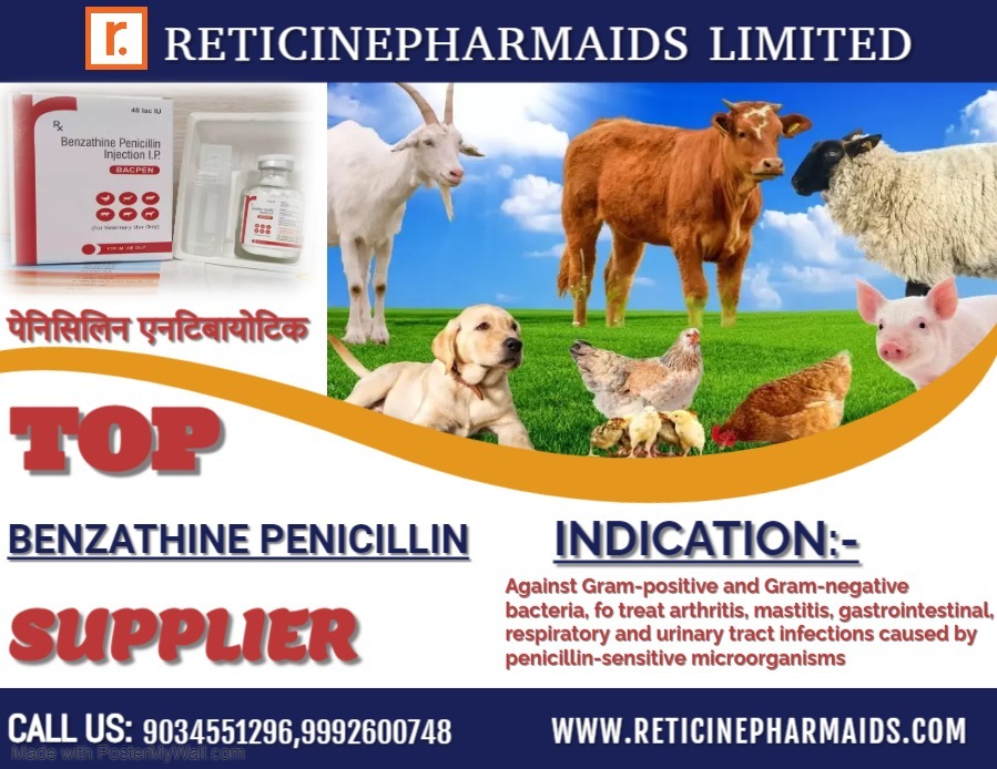 Veterinary Bolus Manufacturer - Benzenedazole, Ivermectin, Oxytetracycline Hydrochloride, Probiotic Compound, Multi-ingredient Veterinary Care Solutions
