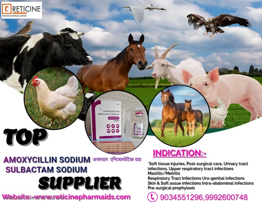 Veterinary Bolus Manufacturer - Benzenedazole, Ivermectin, Oxytetracycline Hydrochloride, Probiotic Compound, Multi-ingredient Veterinary Care Solutions