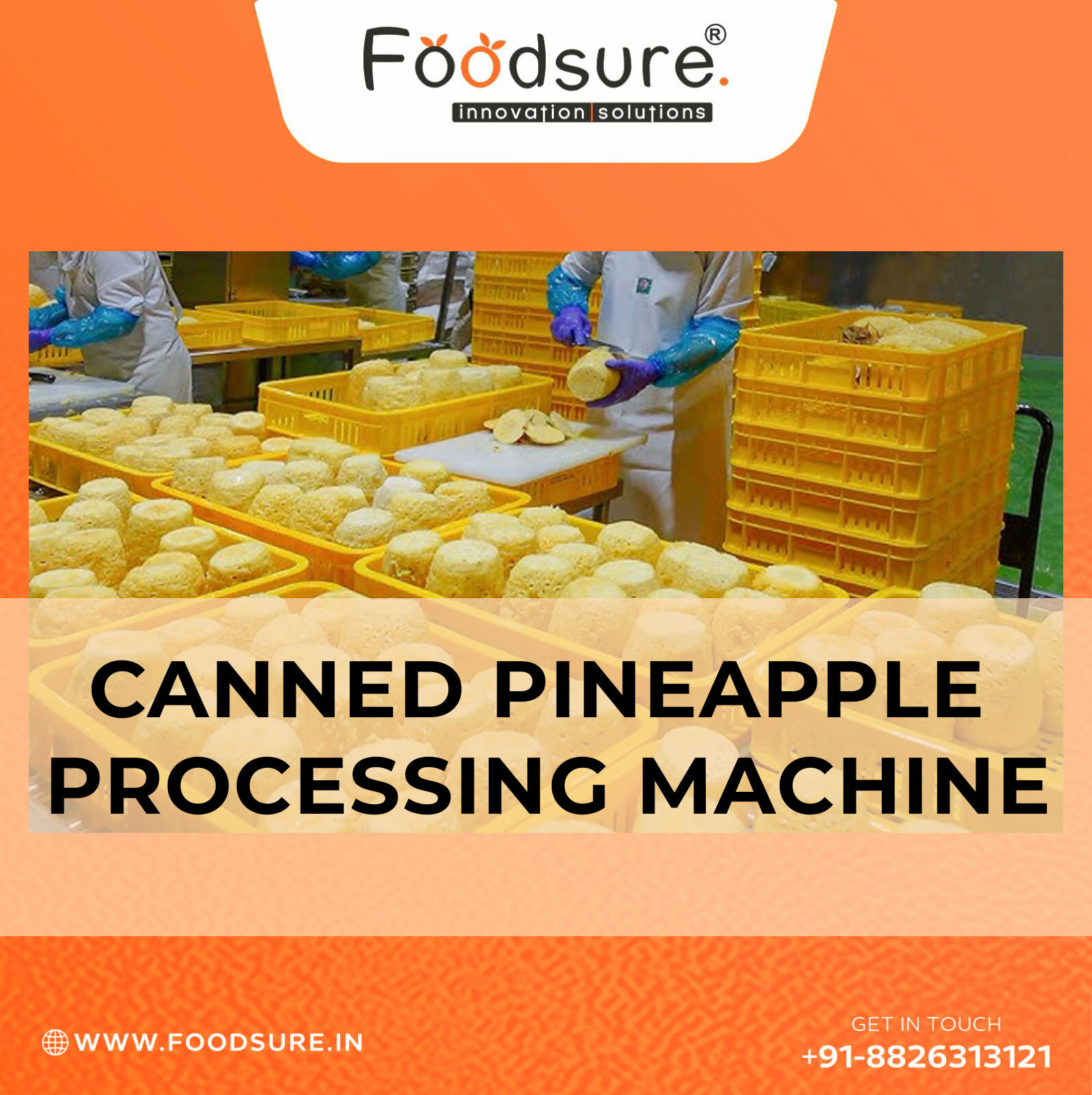 Pineapple Canning Processing System - Stainless Steel, Table Top, 500 Kg/hr Capacity | Automatic, Computerized Control, 20 Watt Power, 1 Year Warranty
