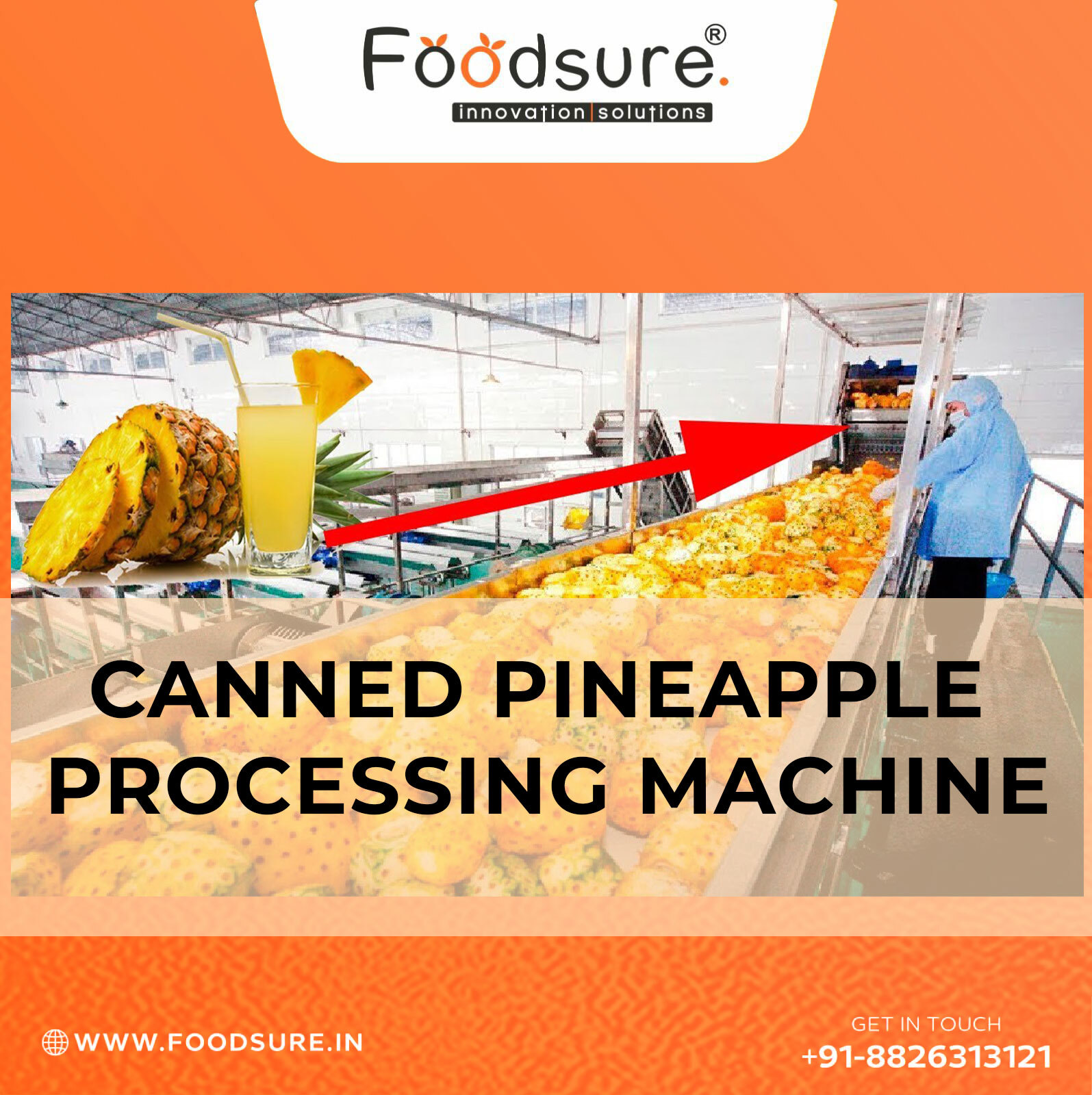 Pineapple Canning Processing System - Stainless Steel, Table Top, 500 Kg/hr Capacity | Automatic, Computerized Control, 20 Watt Power, 1 Year Warranty