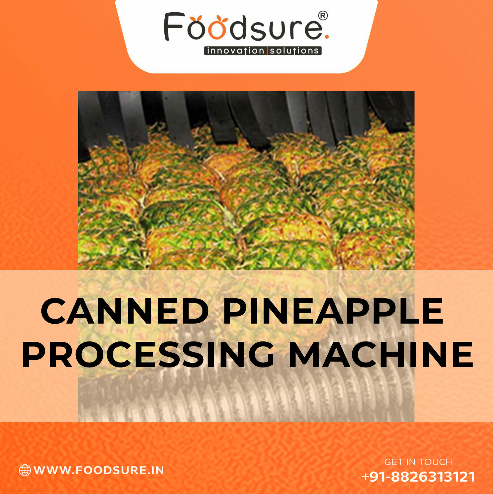 Pineapple Canning Processing System - Stainless Steel, Table Top, 500 Kg/hr Capacity | Automatic, Computerized Control, 20 Watt Power, 1 Year Warranty