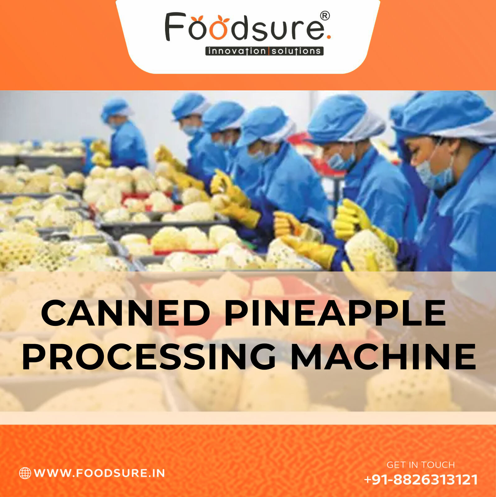 Pineapple Canning Processing System - Stainless Steel, Table Top, 500 Kg/hr Capacity | Automatic, Computerized Control, 20 Watt Power, 1 Year Warranty