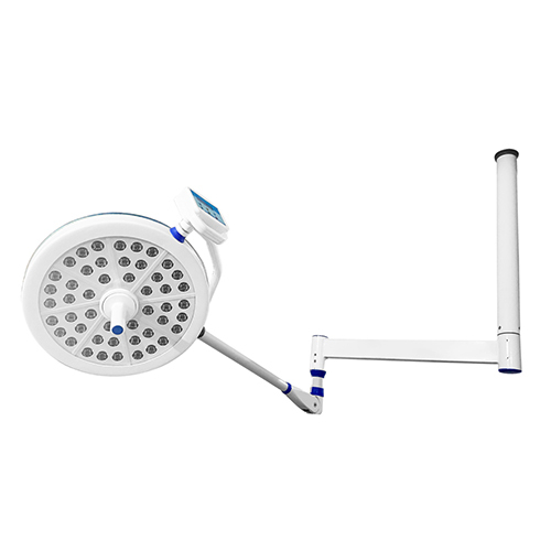 सफेद सूरजमुखी 48 ओटी लाइट