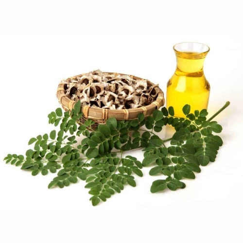 Moringa Carrier Oil Age Group: Adults