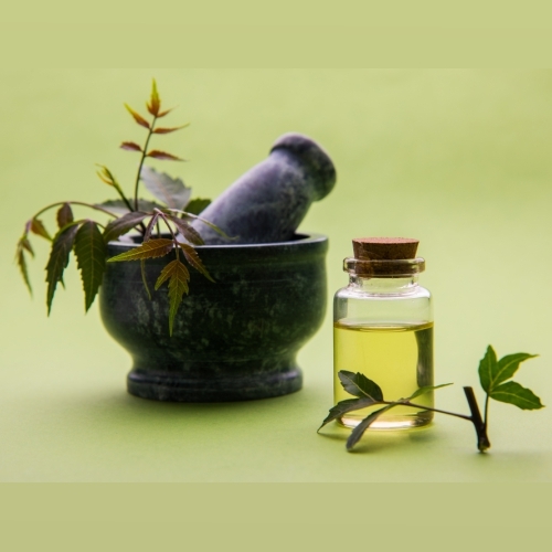 Neem Carrier Oil - Odour: Characteristics