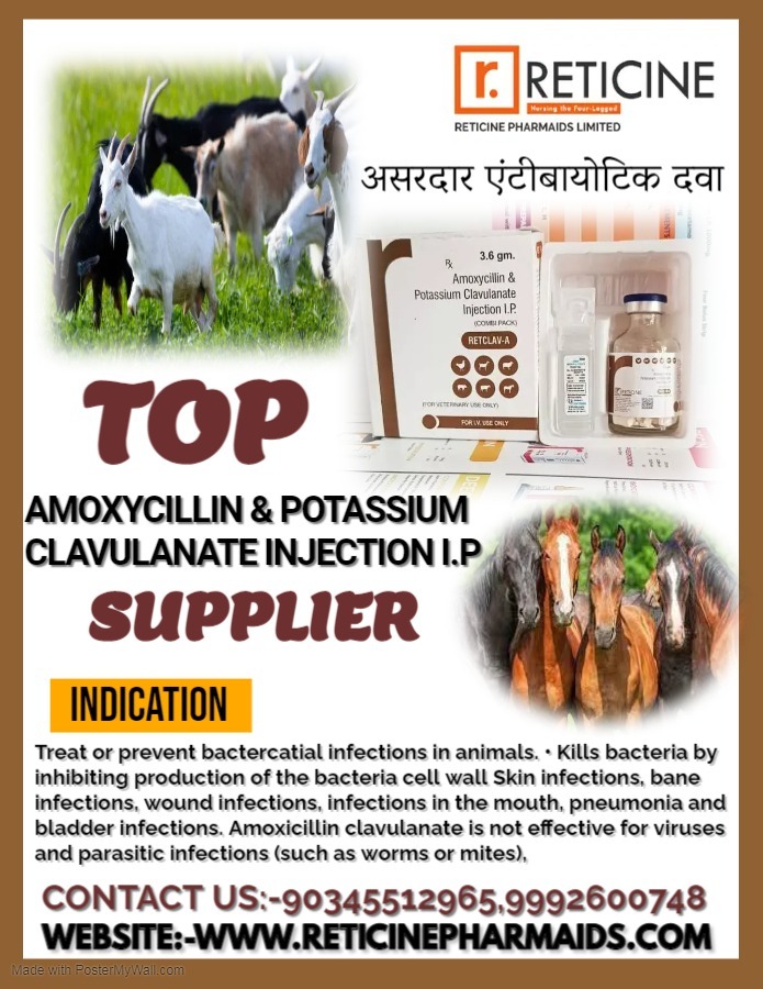 Veterinary Injection Manufacturer In Manipur