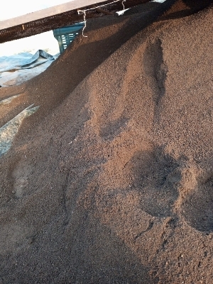 Organic Vermicompost Granular