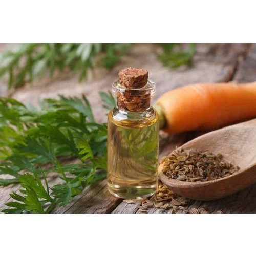 Carrot Seed Pure Essential Oil - 1kg Bottle, Light Yellow to Pale Yellow Color, High Purity, Soluble in Alcohol, Store in Dry & Cool Place