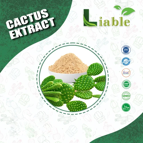 Cactus Extract By Liable Essential Oil Products Pvt Ltd