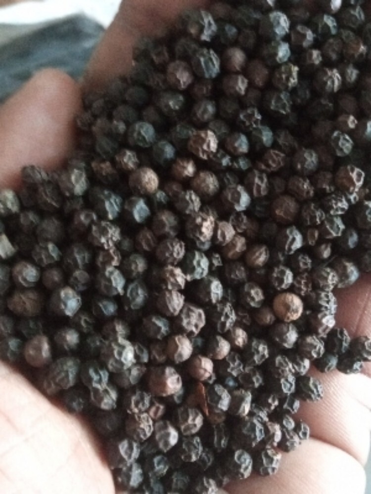 Black Pepper - Grade: Food