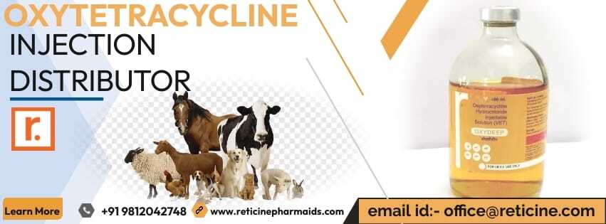 Veterinary Injection Manufacturer - Comprehensive Dry Powder Injection Formulations: Meloxicam, Nimesulide, Oxytetracycline, Ceftriaxone, Amoxicillin | 100% Quality Assured, Gmp And Iso Certified, Timely Delivery, Who Certified