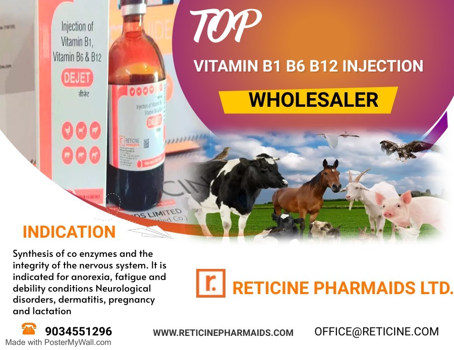 Veterinary Injection Manufacturer - Veterinary Liquid & Dry Powder Injections, Comprehensive Range Of Antibiotics & Anti-inflammatories For Animal Health