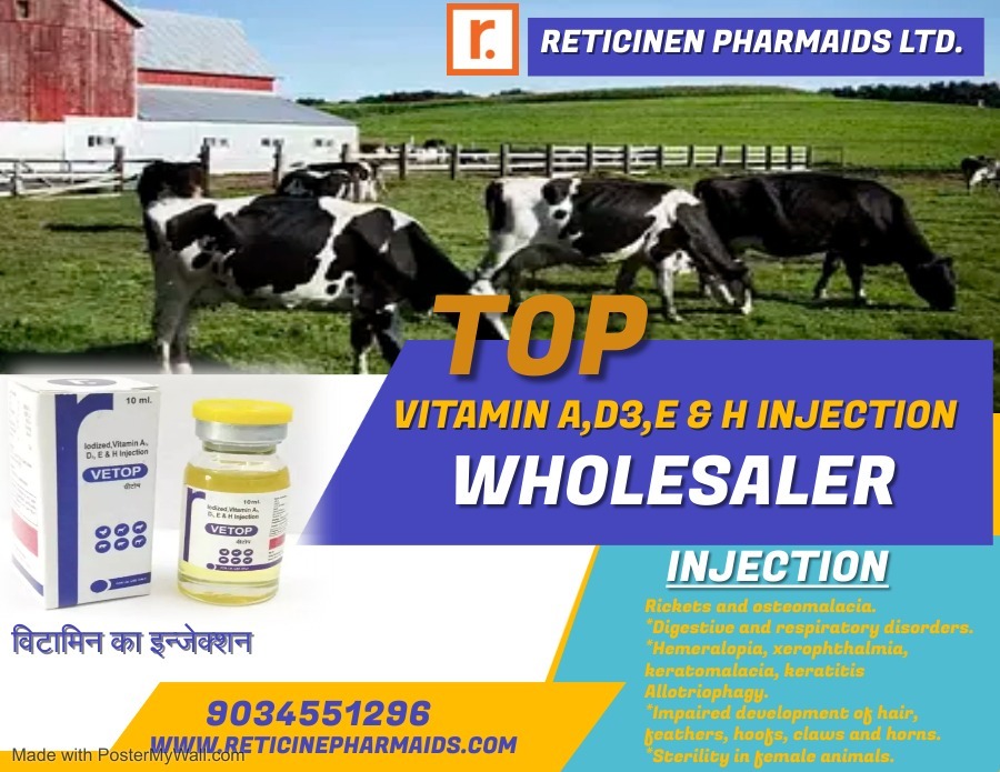 Veterinary Injection Manufacturer - Veterinary Liquid & Dry Powder Injections, Comprehensive Range Of Antibiotics & Anti-inflammatories For Animal Health
