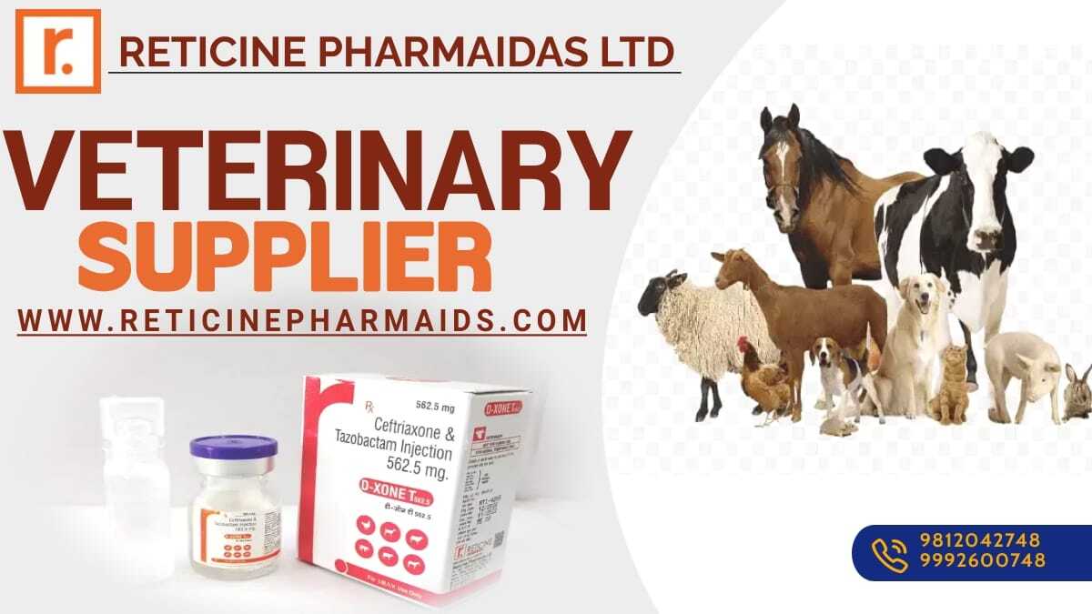 Veterinary Injection Manufacturer - Veterinary Liquid & Dry Powder Injections, Comprehensive Range Of Antibiotics & Anti-inflammatories For Animal Health