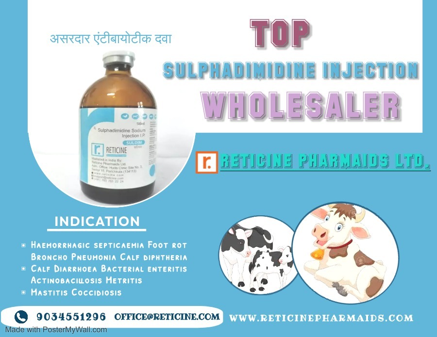 Veterinary Injection Manufacturer - Veterinary Liquid & Dry Powder Injections, Comprehensive Range Of Antibiotics & Anti-inflammatories For Animal Health