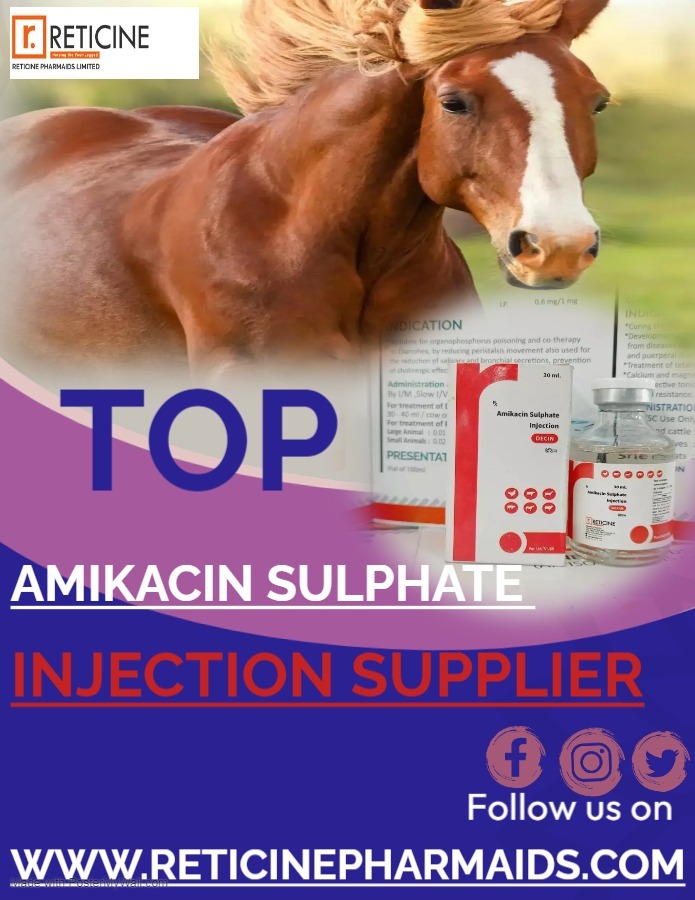 Veterinary Injection Manufacturer In Jammu Kashmir