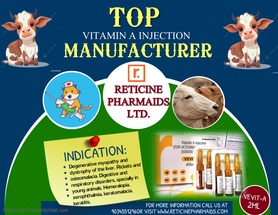 Veterinary Injection Manufacturer - Dry Powder Injection: Meloxicam, Nimesulide, Oxytetracycline, Ceftriaxone, Amoxicillin | Reliable Pain Relief, Broad-spectrum Antibiotics, Effective Parasiticide
