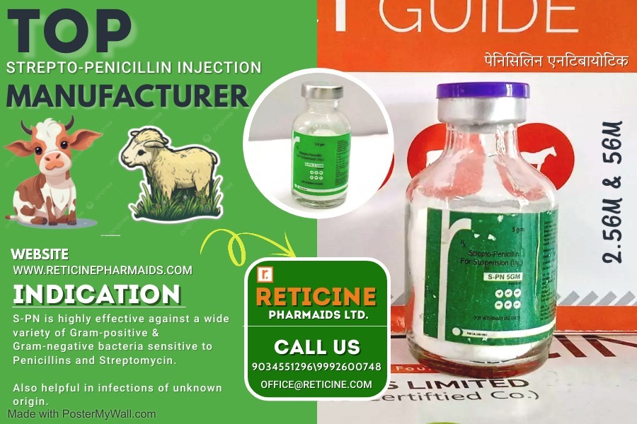 Veterinary Injection Manufacturer - Dry Powder Injection: Meloxicam, Nimesulide, Oxytetracycline, Ceftriaxone, Amoxicillin | Reliable Pain Relief, Broad-spectrum Antibiotics, Effective Parasiticide