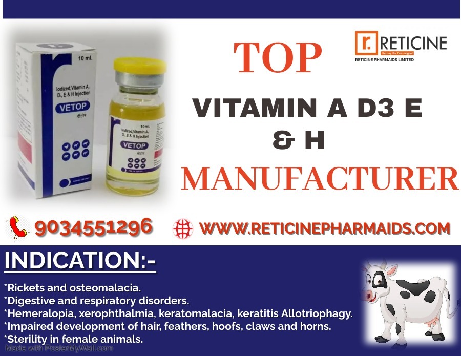 Veterinary Injection Manufacturer - Dry Powder Injection: Meloxicam, Nimesulide, Oxytetracycline, Ceftriaxone, Amoxicillin | Reliable Pain Relief, Broad-spectrum Antibiotics, Effective Parasiticide