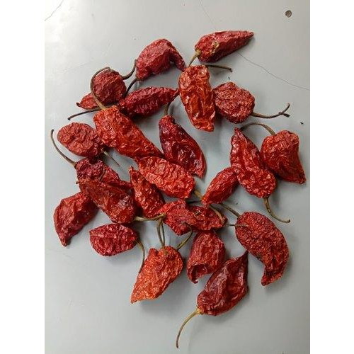 सॉलिड घोस्ट पेपर रेड चिली