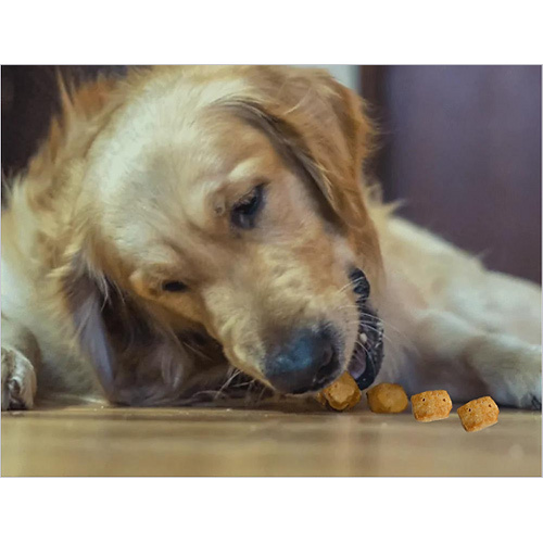 Cheese Pops-Yak Milk - 100% Natural Yak Cheese, 50g AirTight Zip Pouch | Amazing Fun Treats for Dogs and Cats, Ideal for Training and Breath Freshening